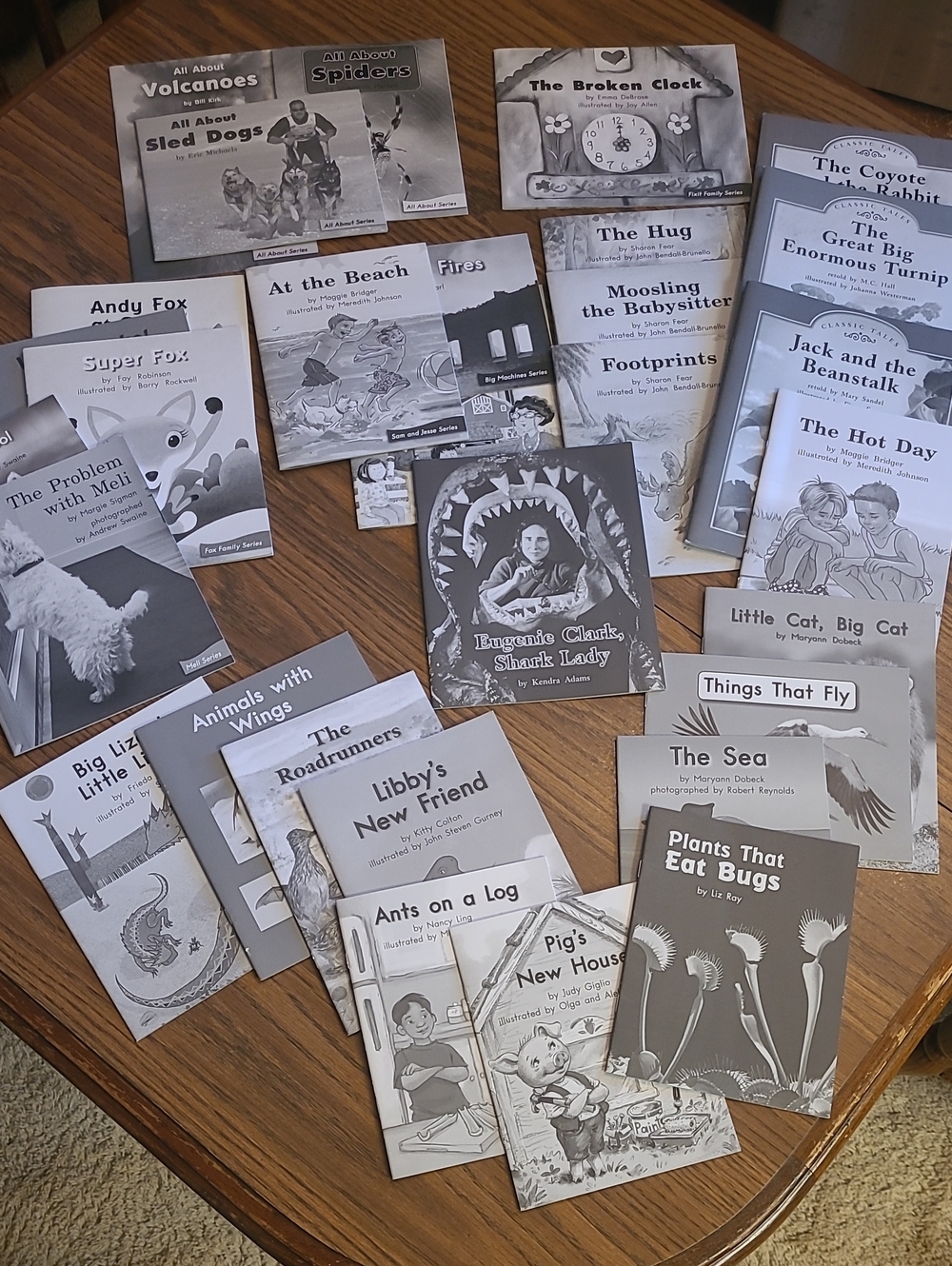 30 Books! Children's Early Reader Book Lot — Assorted Titles